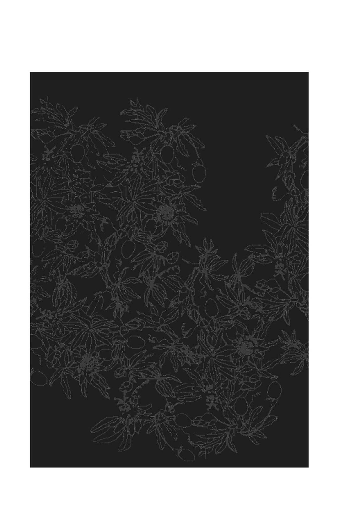 Passiflora - Rug / Haze 2.4M X 3.4M