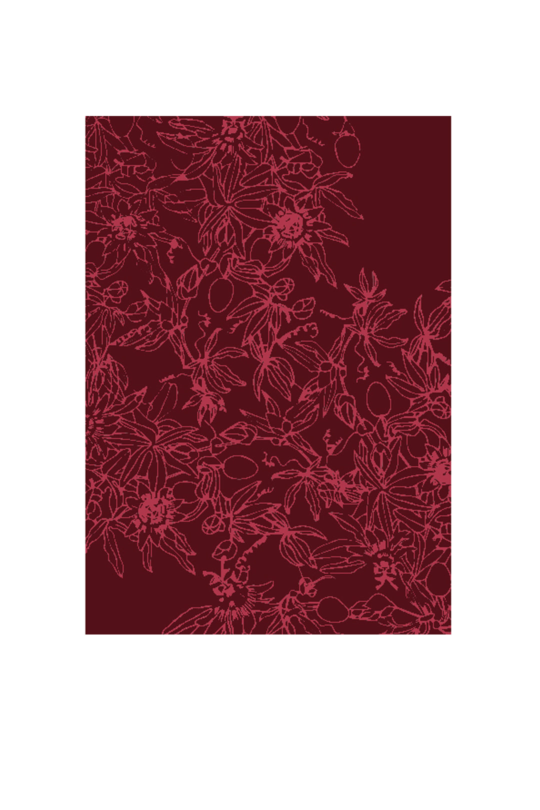 Passiflora - Rug / Wildfire 1.7M X 2.4M