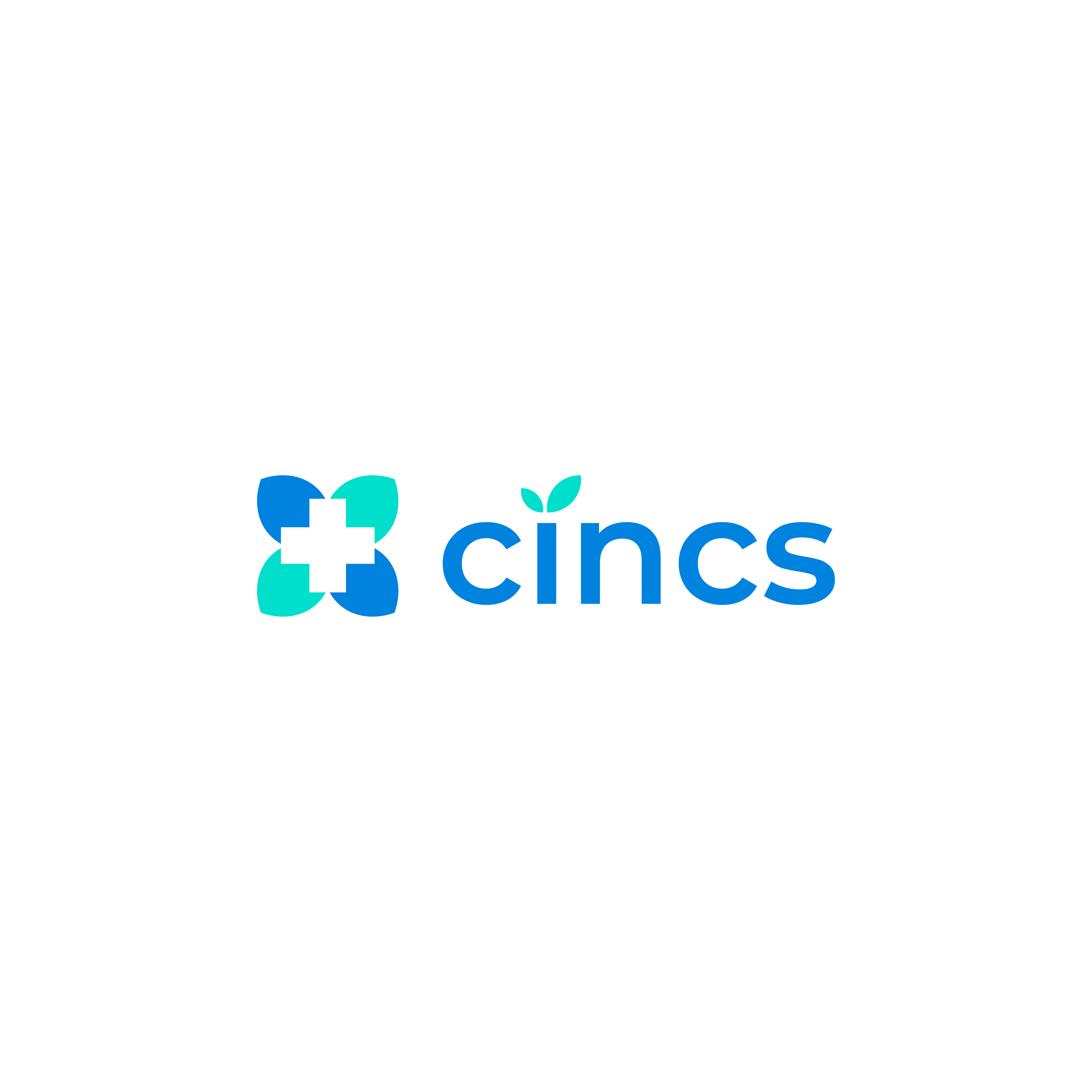 Cincs - Académie