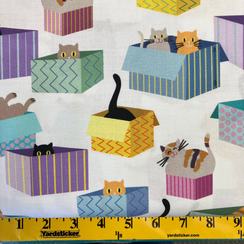 March Meowness 2024 Winning Fabric, Cat in the Box Cats & Boxes