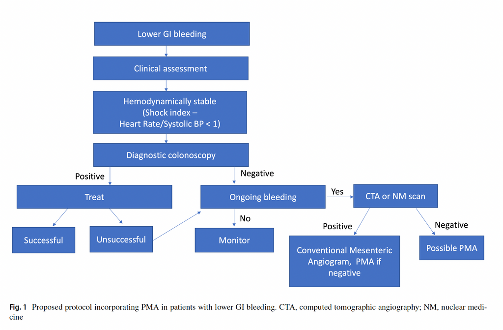 provacative mesenteric angiography suggested protocol