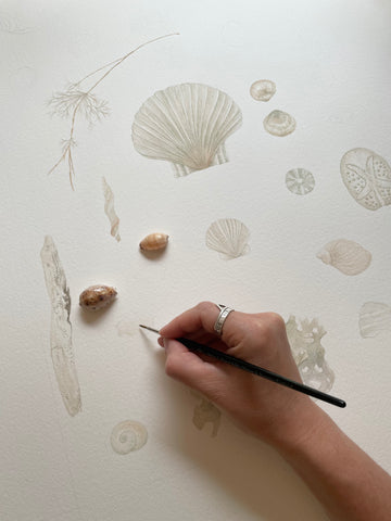 Painting the shell plate in soft neutral watercolours.