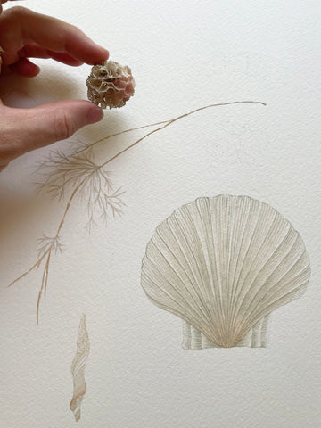 Hand holding a piece of round coral over the area on the watercolour paper, which it will be painted.