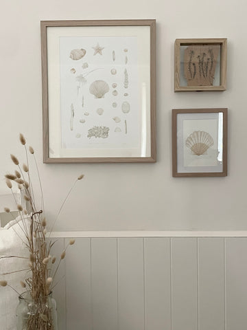Framed archival print hanging on wall with a smaller shell painting and daisies illustrater in black ink onto paperbark, framed in a floating glass frame. Creating a gallery wall.