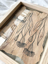 Load image into Gallery viewer, Flowering Gum | Paperbark
