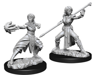 D&D Minis: Nolzur's Marvelous Unpainted Miniatures, W9 Female