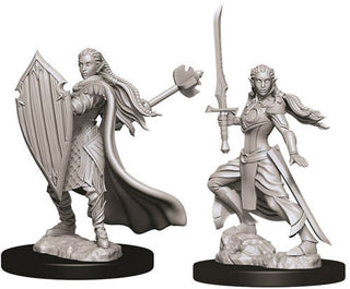D&D Minis: Nolzur's Marvelous Unpainted Miniatures, W9 Female Half-Orc  Barbarian