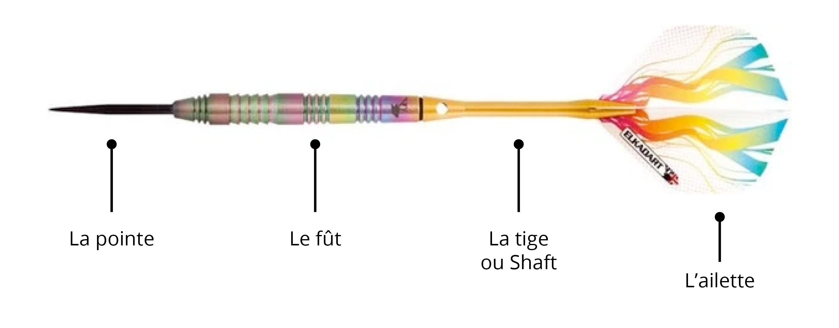 Les différentes parties d'une fléchette