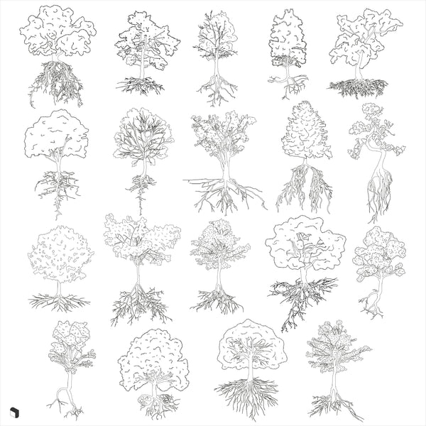 multistem tree cad block free download