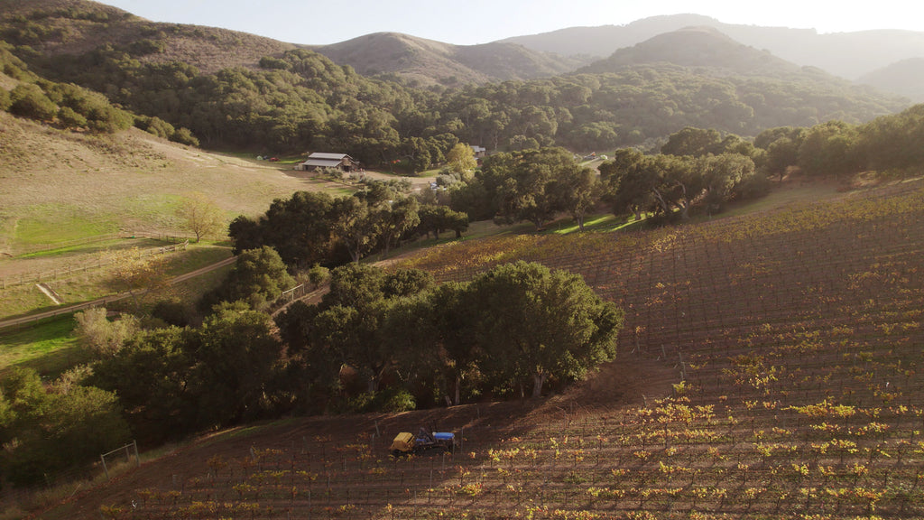 The Center of Regenerative Agriculture at Jalama Canyon Ranch operated by White Buffalo Land Trust in Santa Barbara, CA