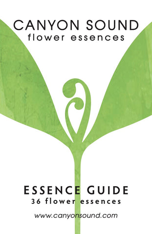 Canyon Sound Essence Guide Cover