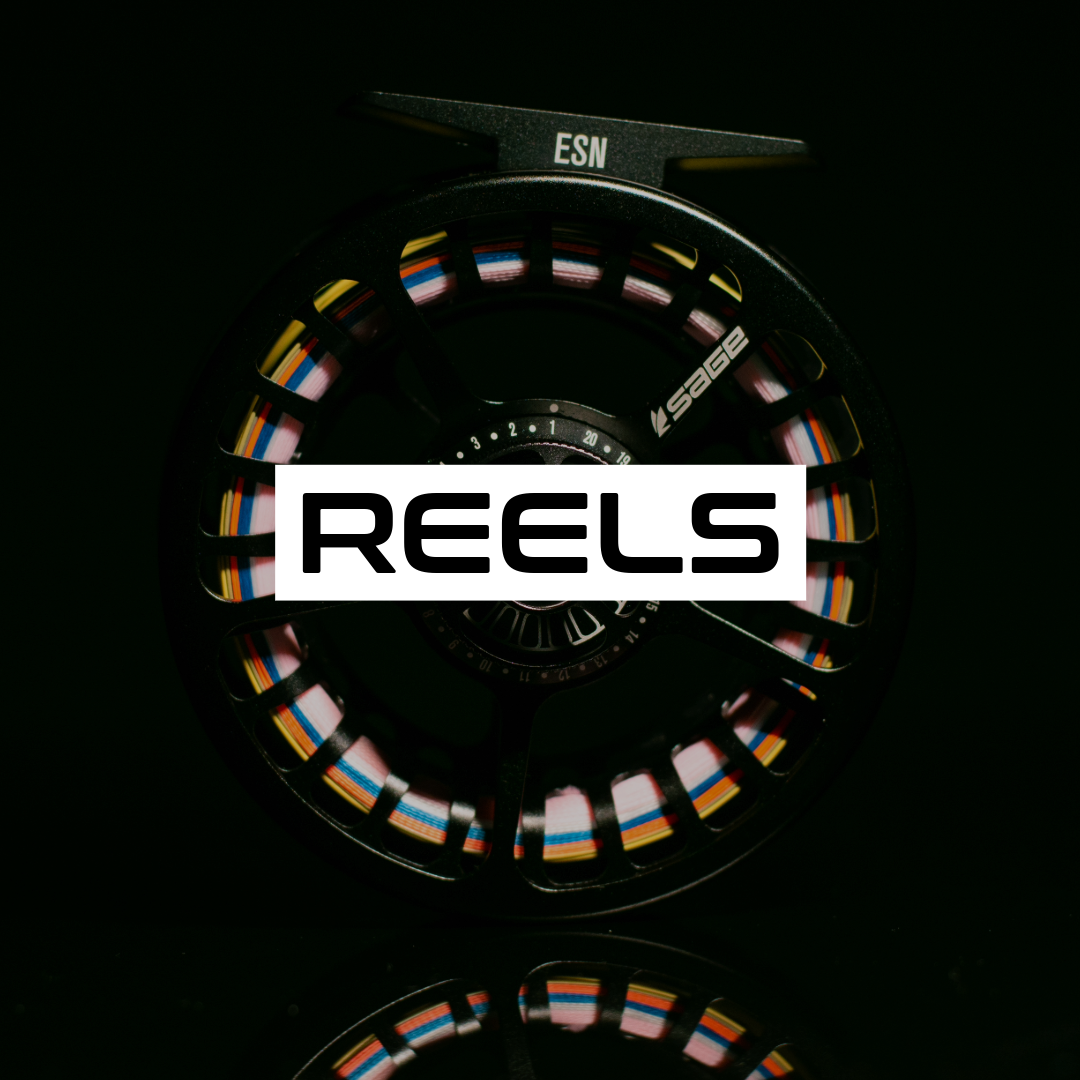 REELS - COLLECTION.png__PID:9695448d-bac5-477d-9889-4d5fa9e4b549