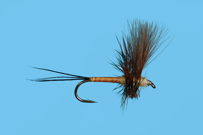 Rolla Flying Devon Red tail - treble - Funky Fly Tying