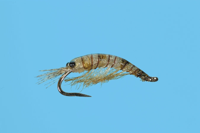 BH Scud - Olive – Fly Fish Food