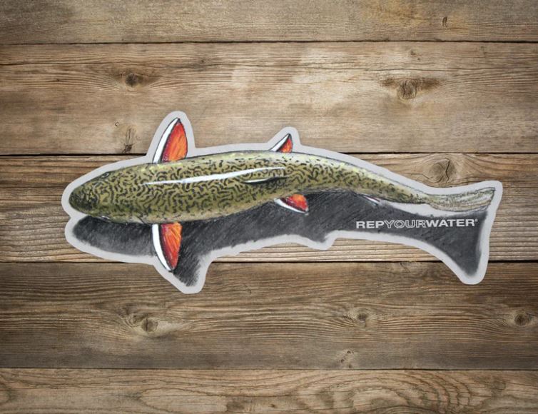 Rep Your Water - Shallow Water Brookie Artist's Reserve Sticker