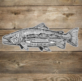 Fly Fish Food Sticker - Brook Trout (4)