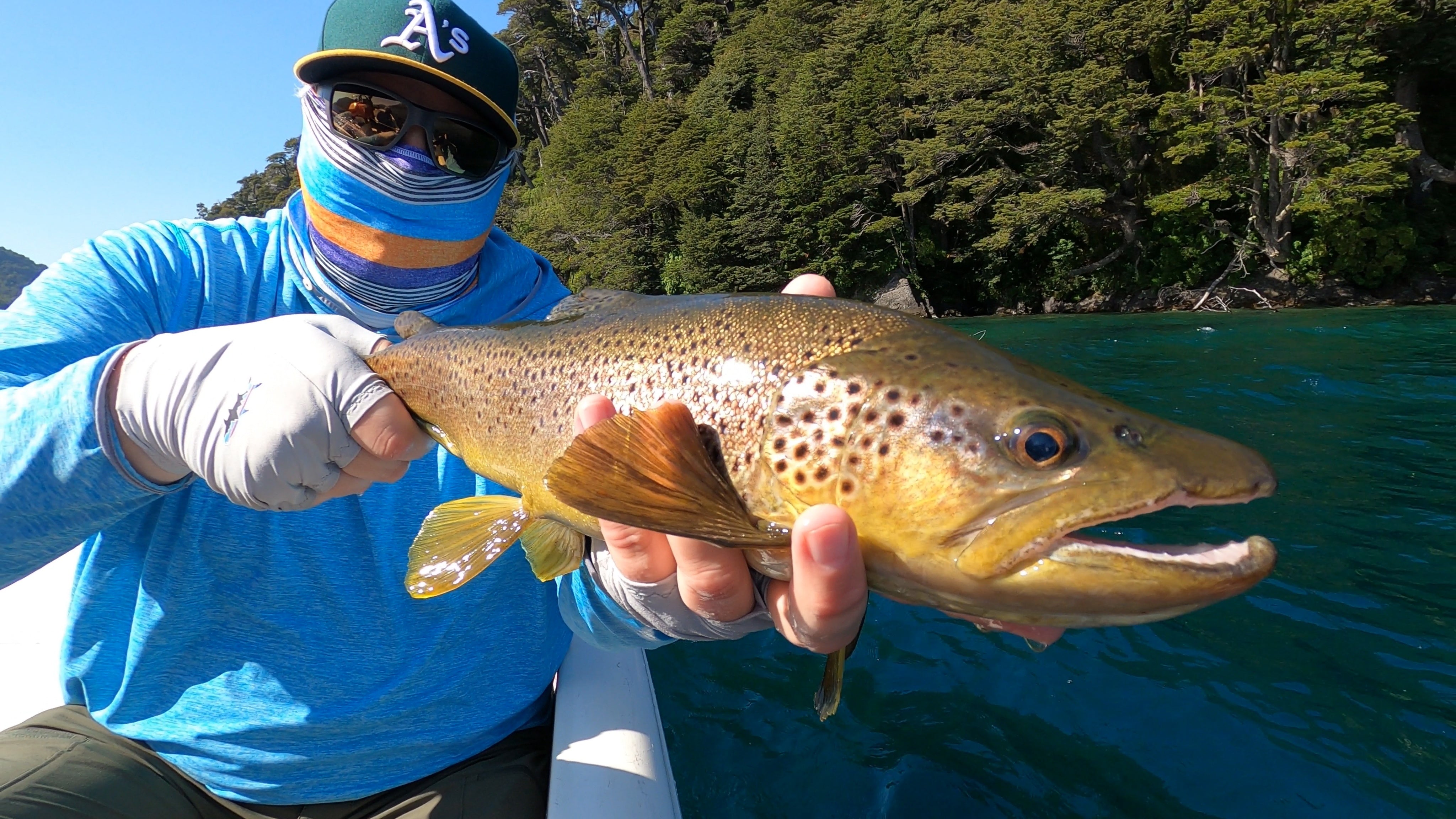 Fly Fish Food Trip - Spring Creek Lodge