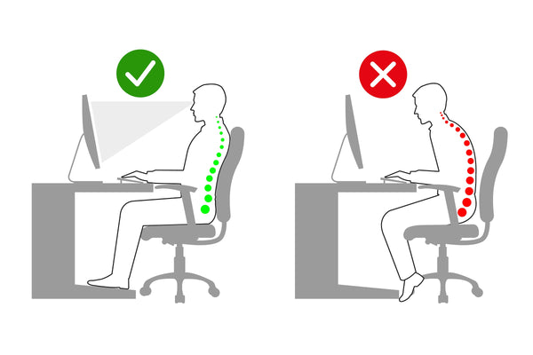 ergonomic adjustable chair should support your spinal curve