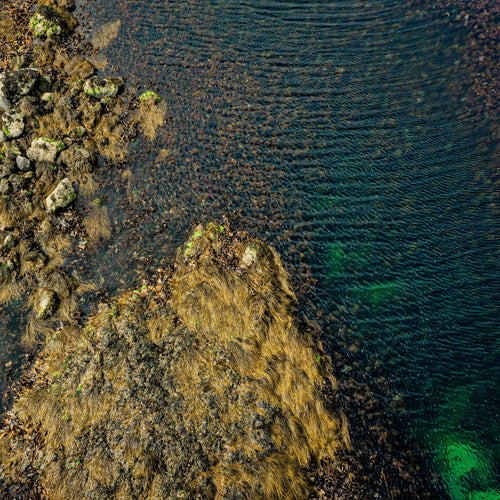 Caggageen Seaweed Isle of Barra - Isle of Barra Distillers Co. 