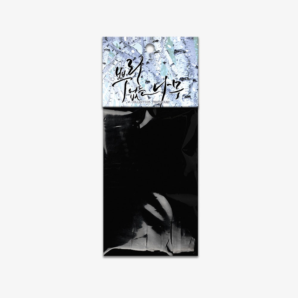 A Tree without Roots Collection Photocard (3 Random Cards in 1 Pack)