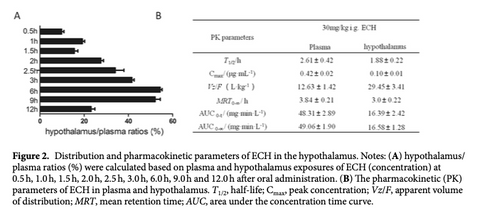 Where Supplemented Echinacoside is distributed in the body of a rat, a compound in Cistanche