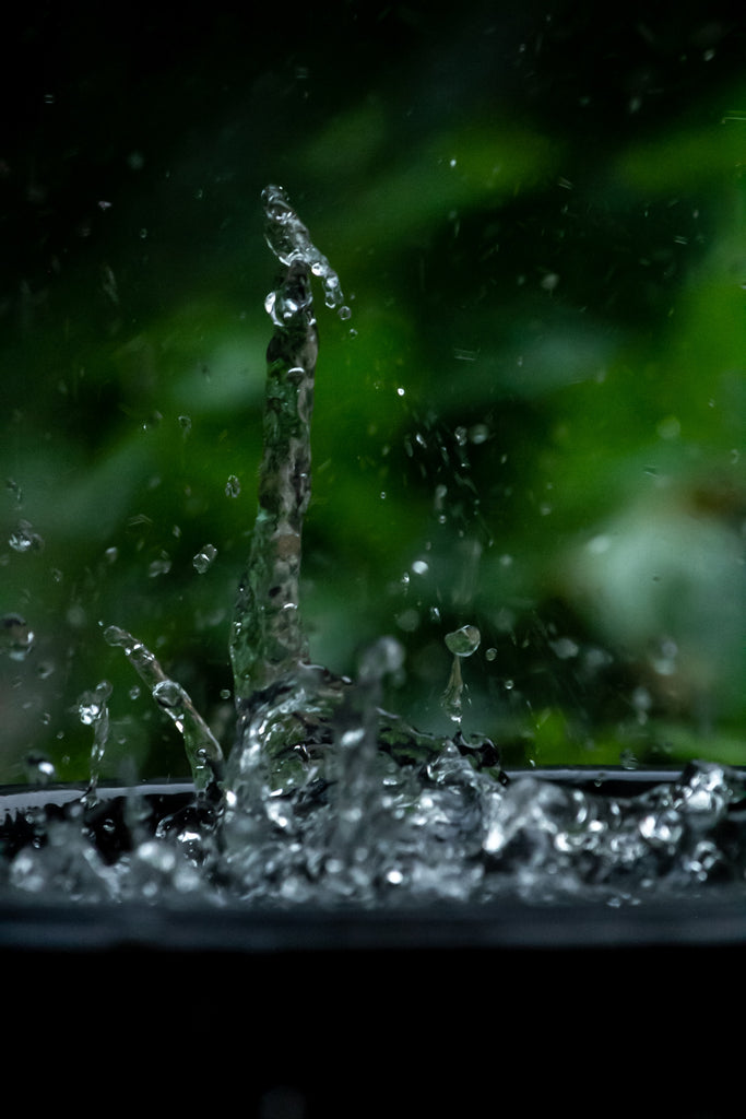 Rainwater dropping into a bucket. Best water for plant health.