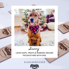 Cookies & Co. Dog Ambassador Sunny the Golden Retriever