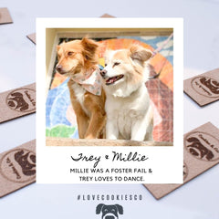 Cookies & Co. Dog Ambassadors Trey and Millie