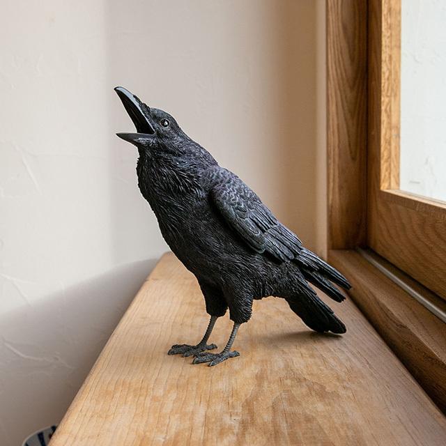 magnet / マグネット PET BANK ペットバンク CARRION CROW カラス