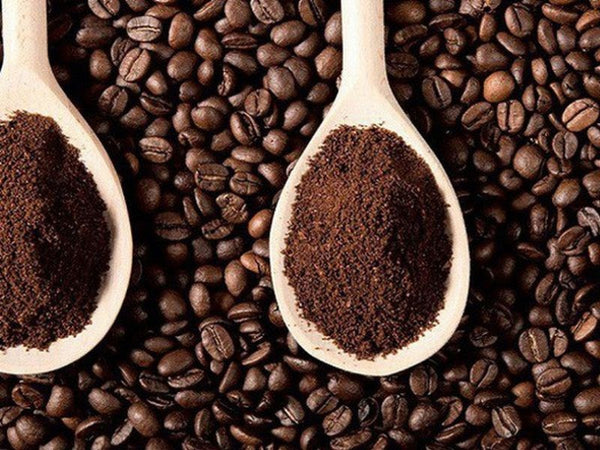 There are more than 100 species of coffee in the coffee world today