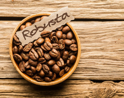 Robusta is a familiar coffee variety with the name Voi coffee
