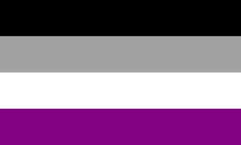 Asexual / Aromantic flag