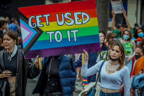 2 individuals holding up a progress pride flag sign with the words "Get Used To It"