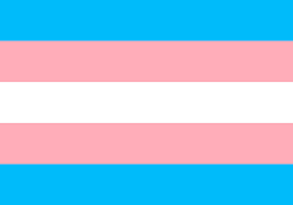 Transgender flag