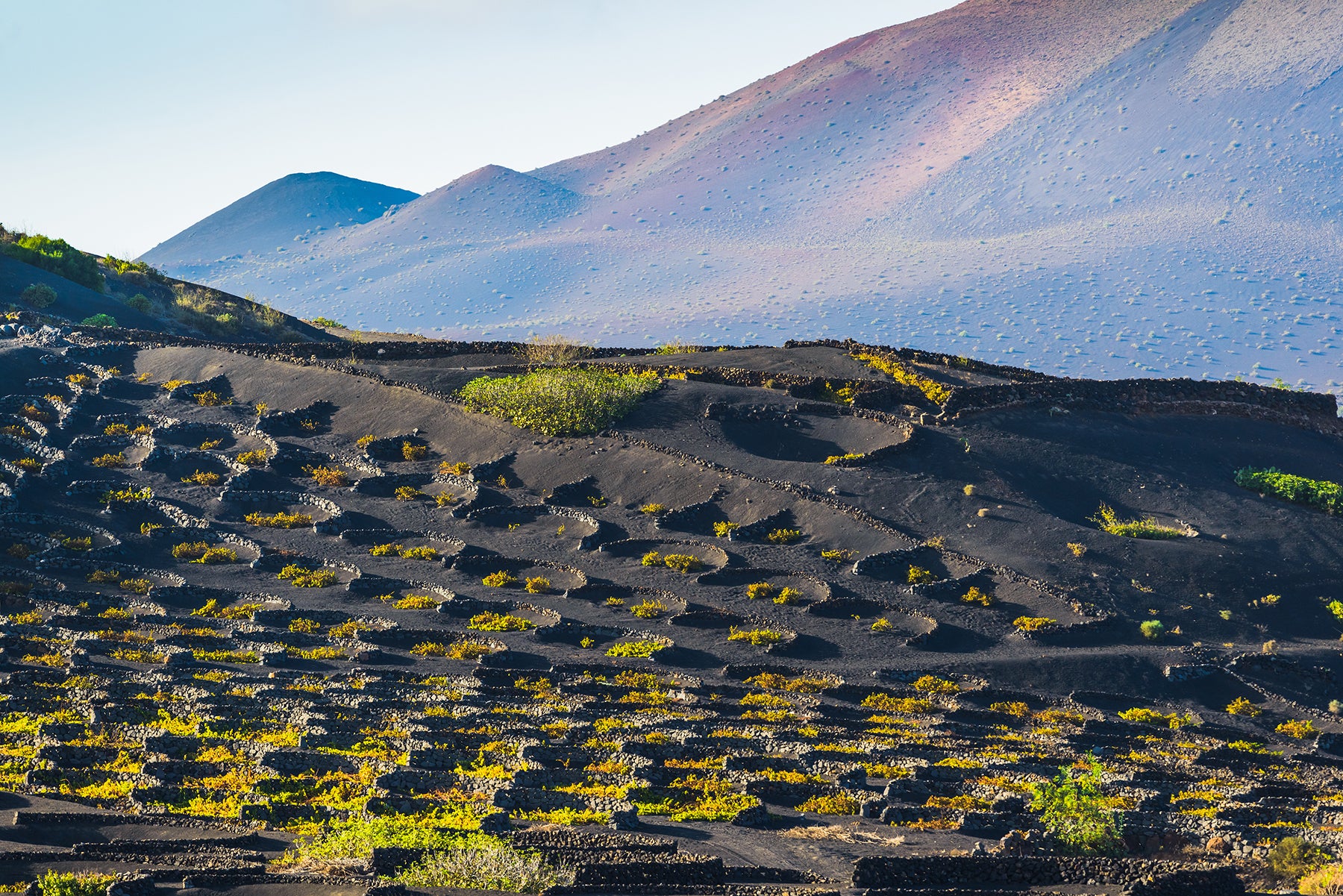 The unique, almost moon-like volcanic vineyards of Lanzarote