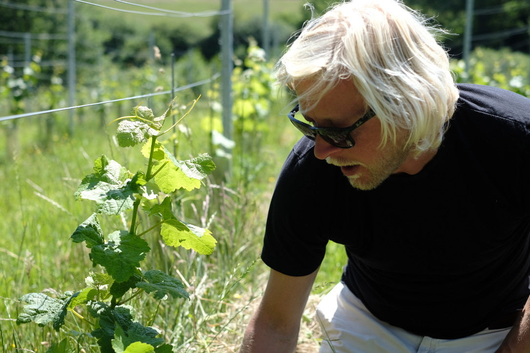 Ben Walgate from Tillingham in his Trousseau vineyard, planted in 2019 with the help of our very own Ellen Doggett