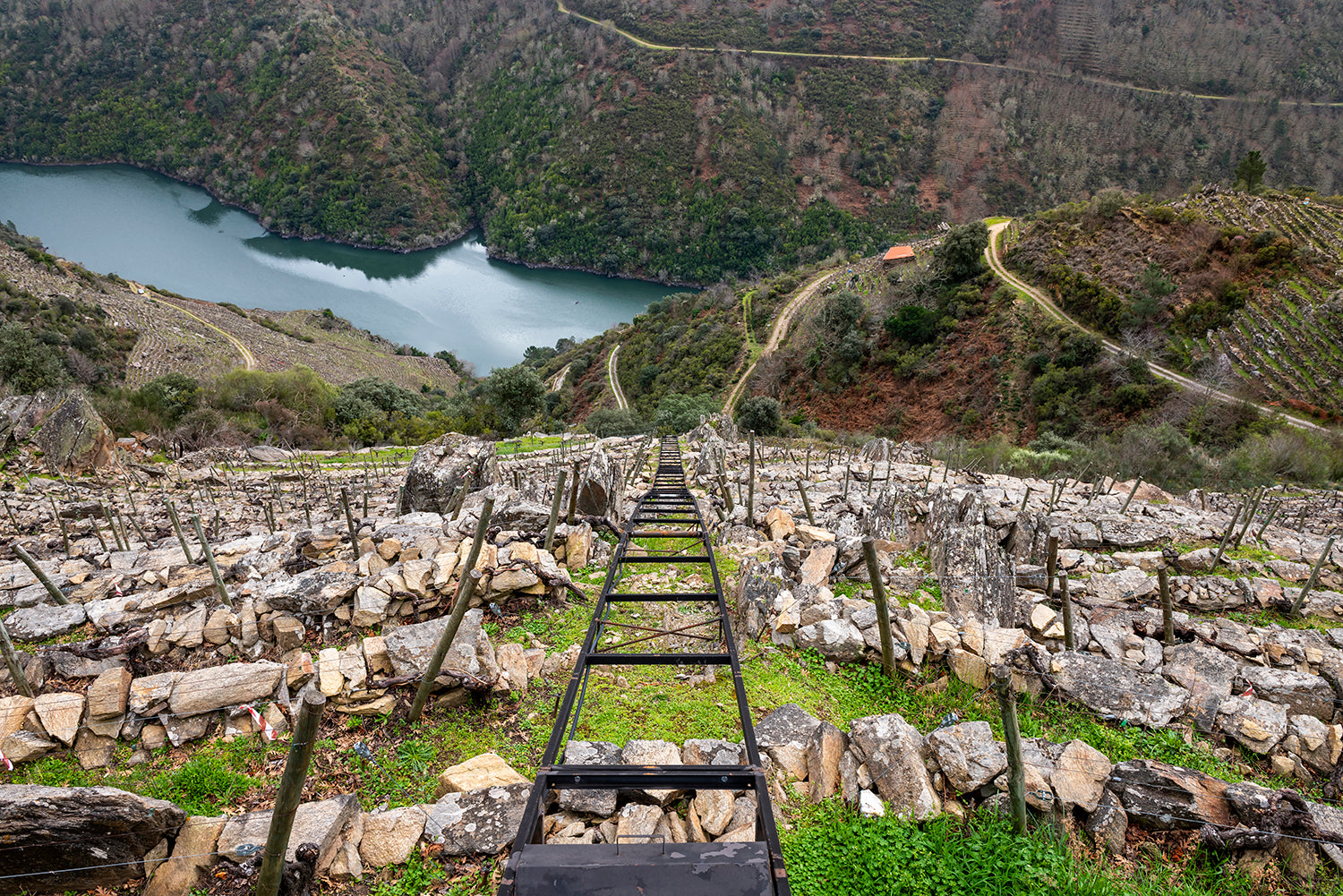 Hair raising viticulture at  Envínate's precipitous Camino Novo vineyard in Ribeira Sacra. Photo: Estanis Nuñez