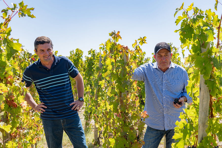 Edy Del Popolo and David Bonomi in the vineyard