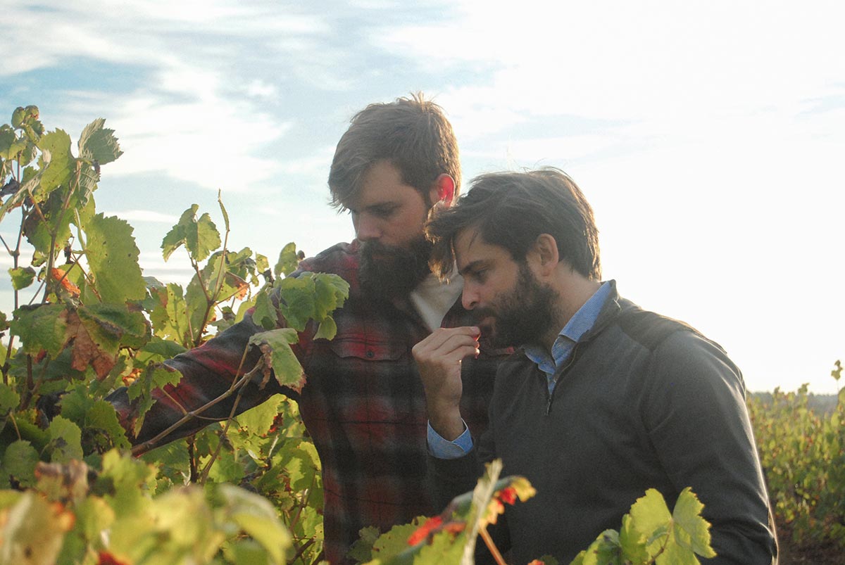 Leo and Roc Gramona in the vineyard 