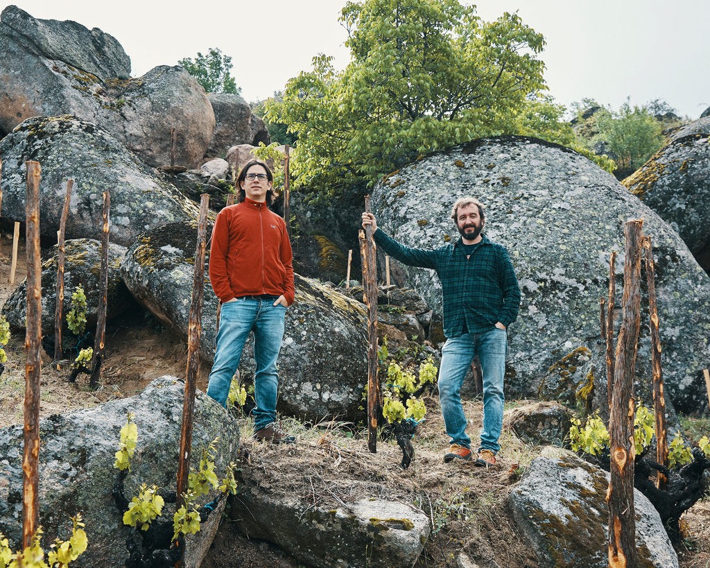 Fernando García and Dani Landi of Comando G in one of their Gredos vineyards
