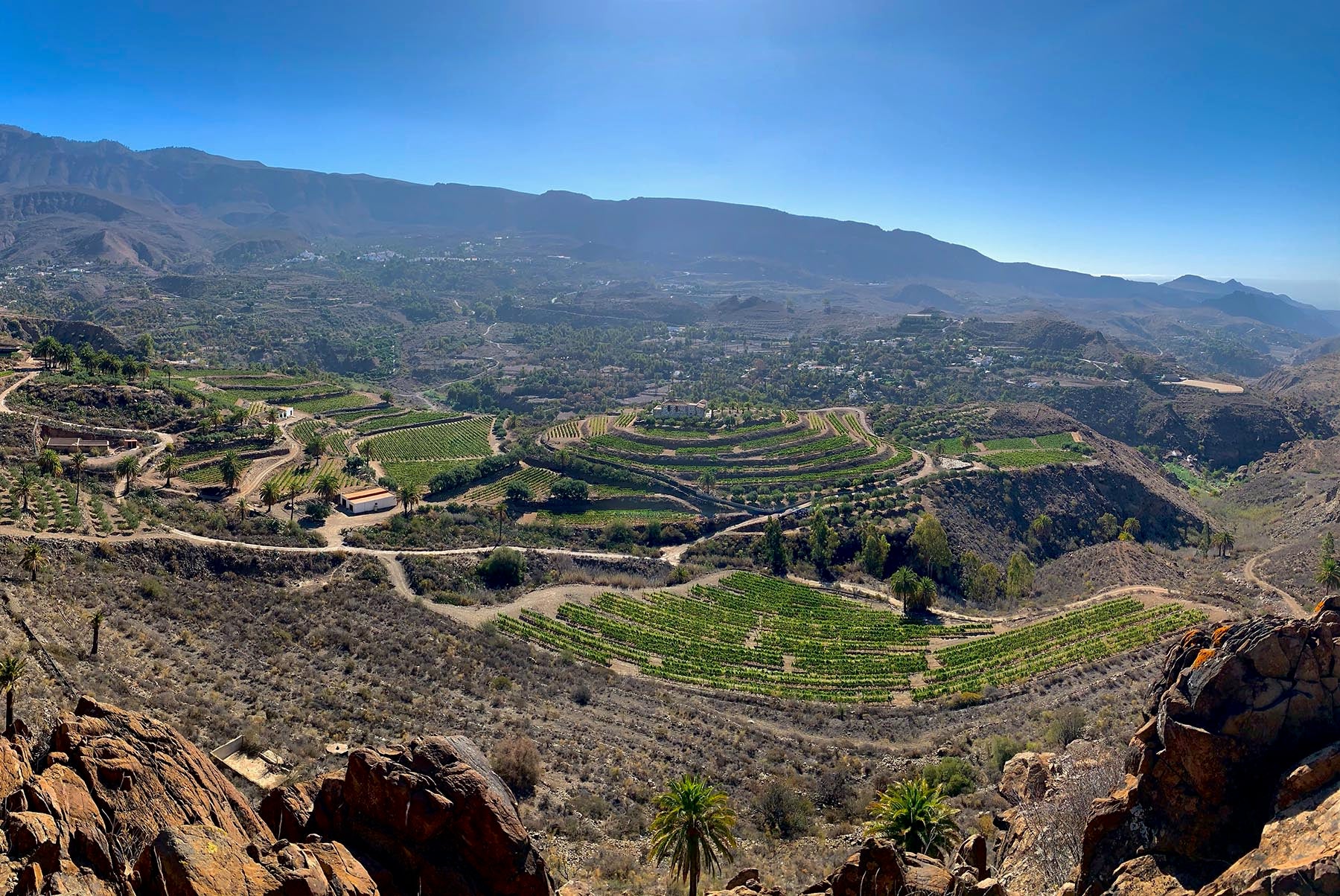 Bodegas Tameran nestled in the breathtaking hills of The Canary Islands, surrounded by organic vineyards