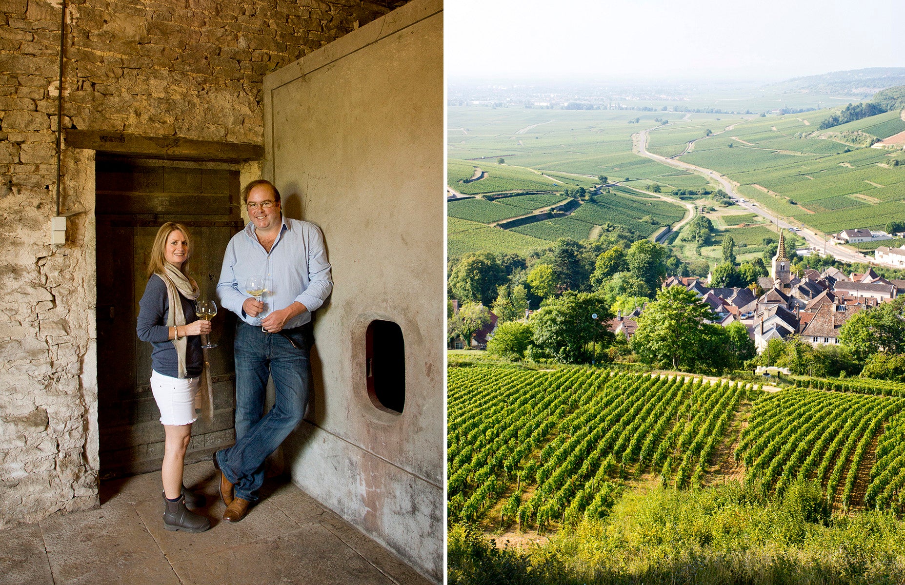 Fiona and Michael in their cellar. The view over Aloxe towards Savigny