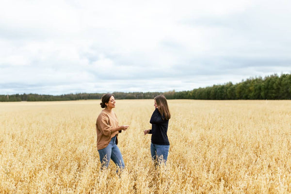 Oatbox Team in a field of Oats