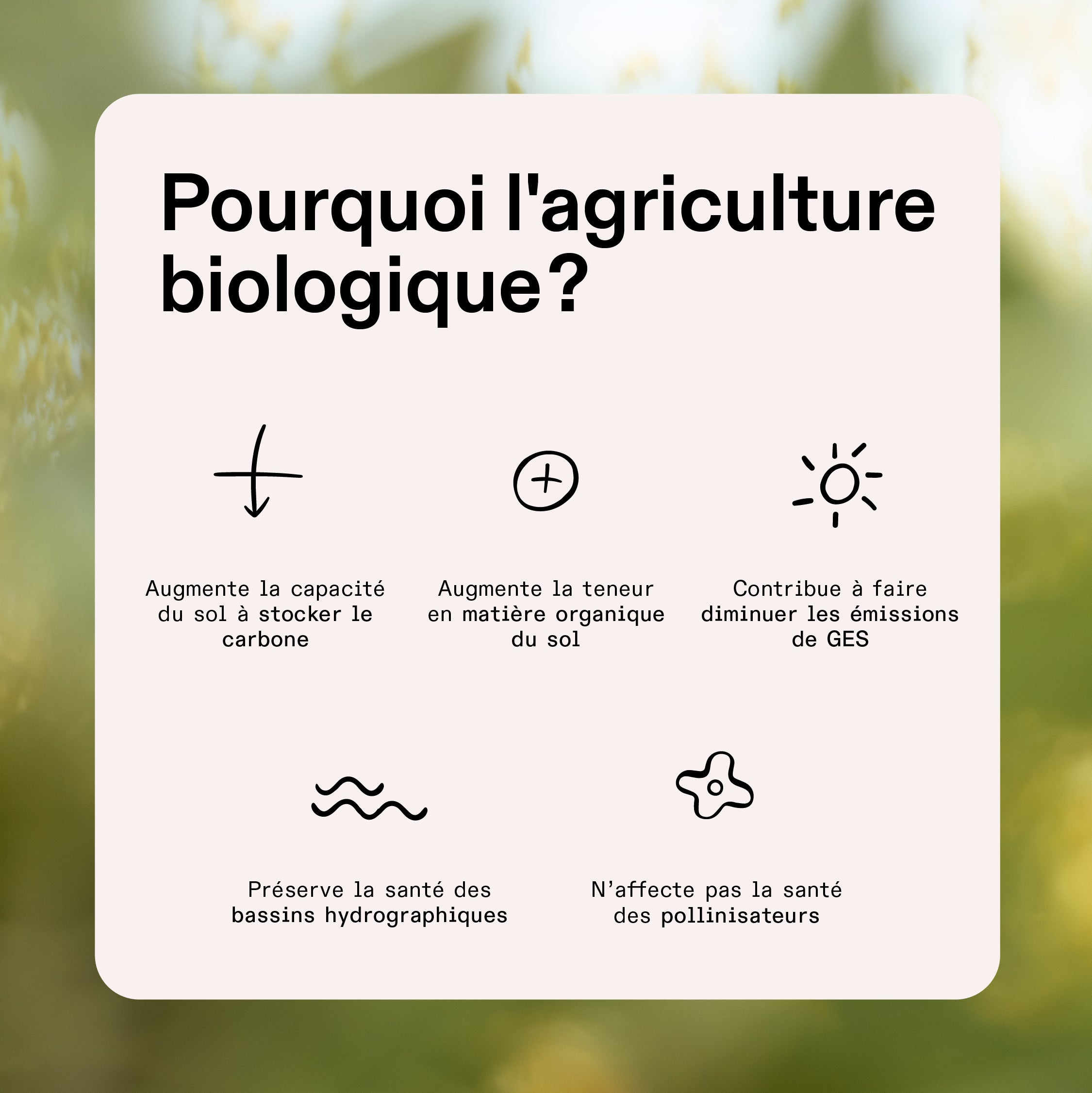 Les 6 bienfaits de la farine d'avoine et comment l'utiliser