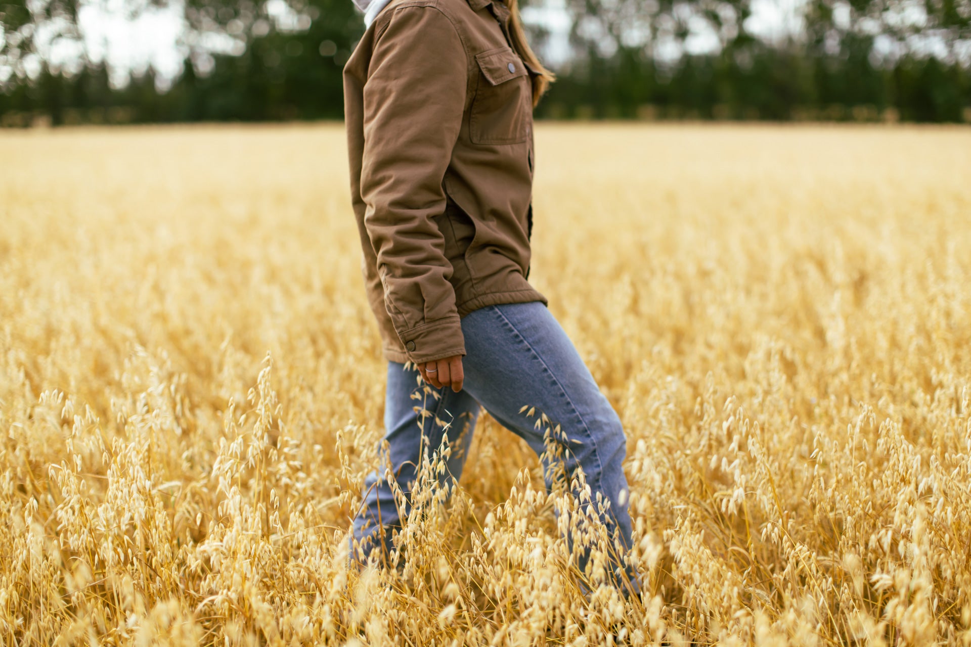 Son d'Avoine Biologique – La Moisson