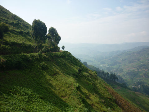 Pearls of Africa Impressionen Uganda Landschaft