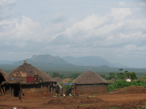 Pearls of Africa Impressionen Uganda