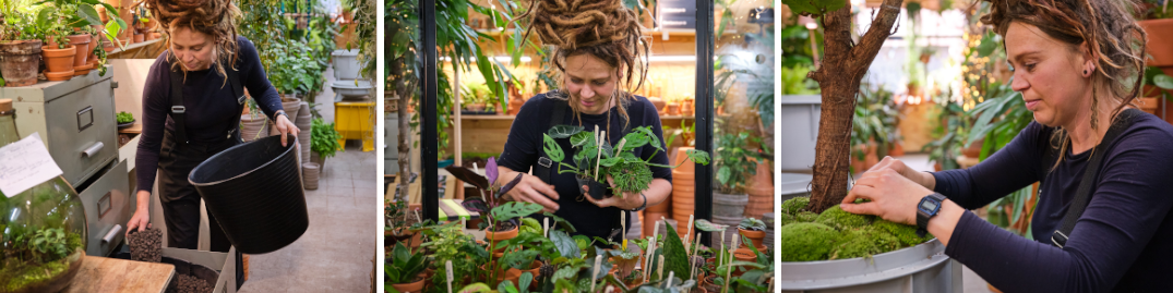 Plantenbakken voor binnen aangeplant door Plantaardig | DE KLEIN & VAN HOFF