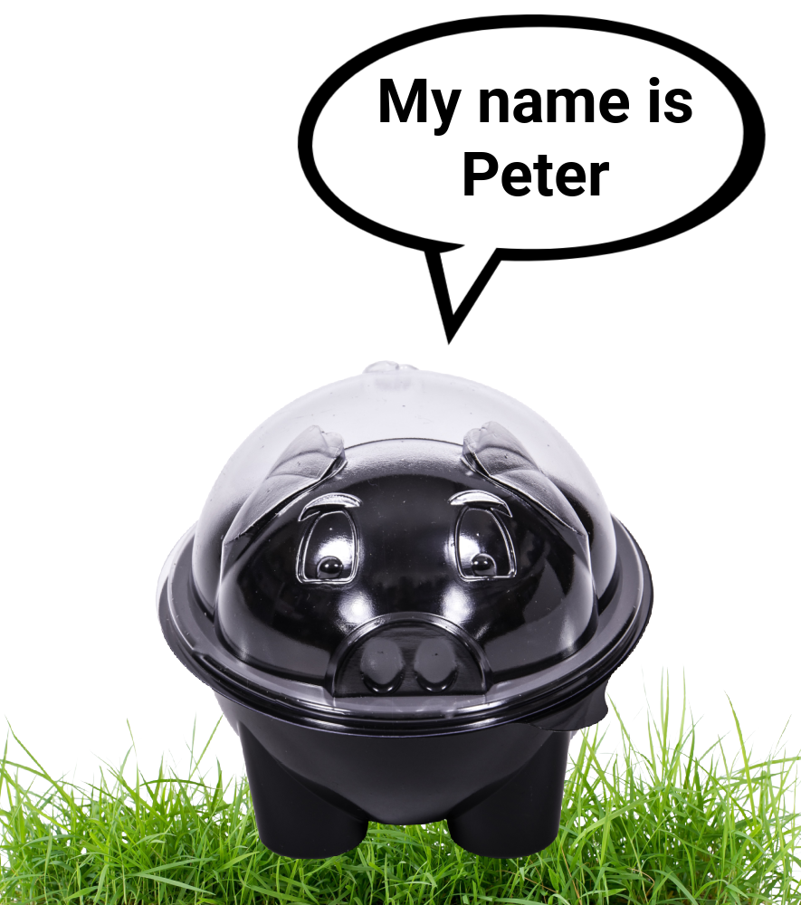 PET PAX COMBI10 each of Peter Pig + Ellie Elephant + Tommy Tortoise (30 Pet Pax)