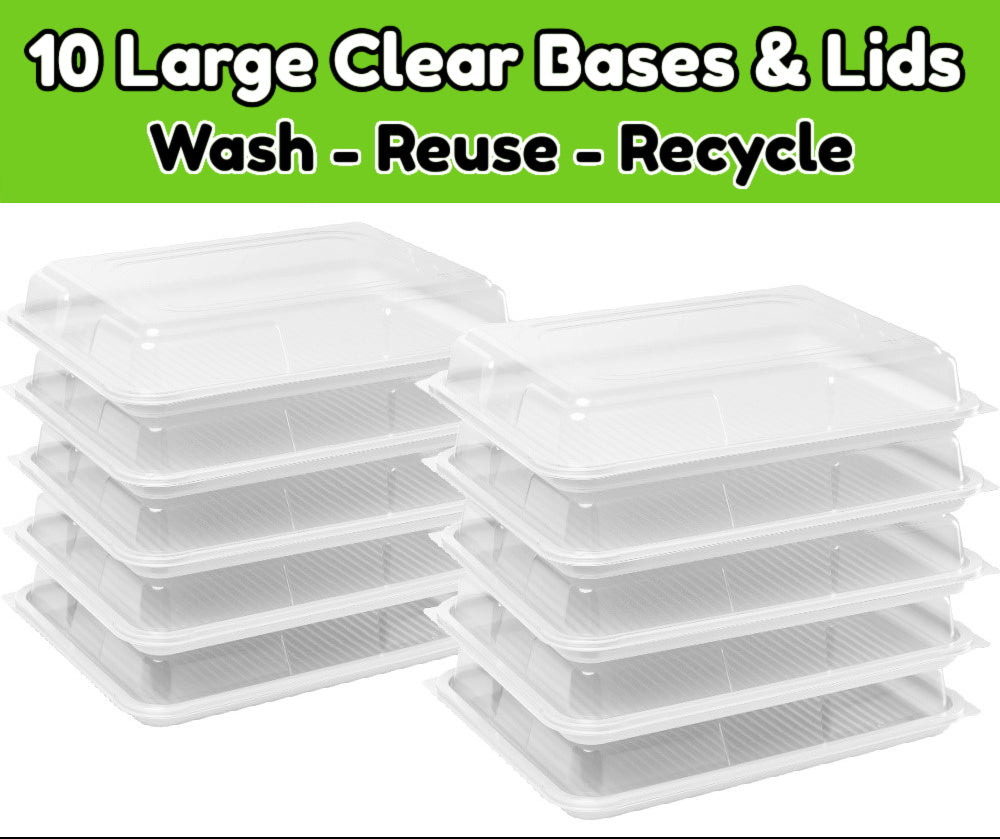 10 Clear Base Large Sandwich Platters & Lids - Total Visibility For Your Party Food